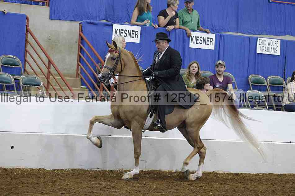Proof Number 12r12_1574