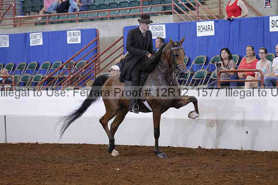 Proof Number 12r12_1577