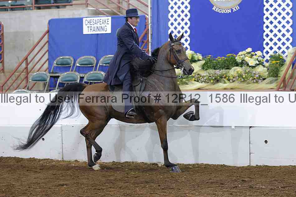 Proof Number 12r12_1586