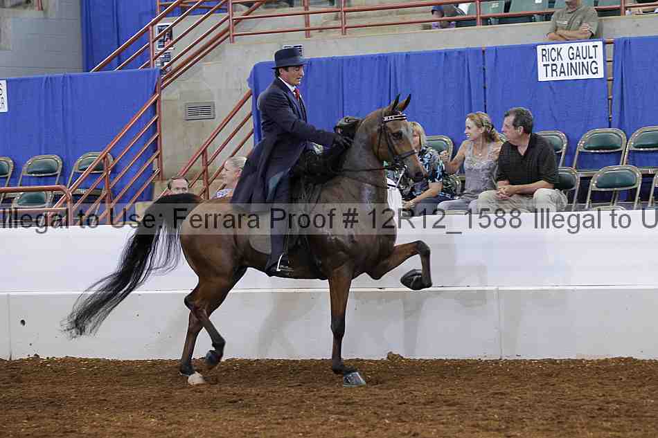Proof Number 12r12_1588