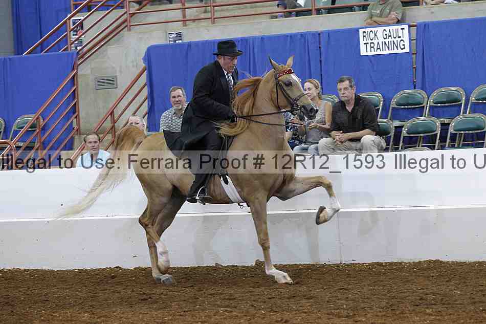 Proof Number 12r12_1593