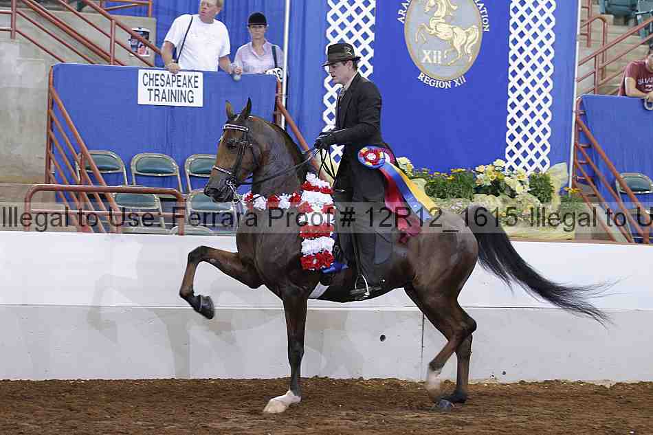 Proof Number 12r12_1615