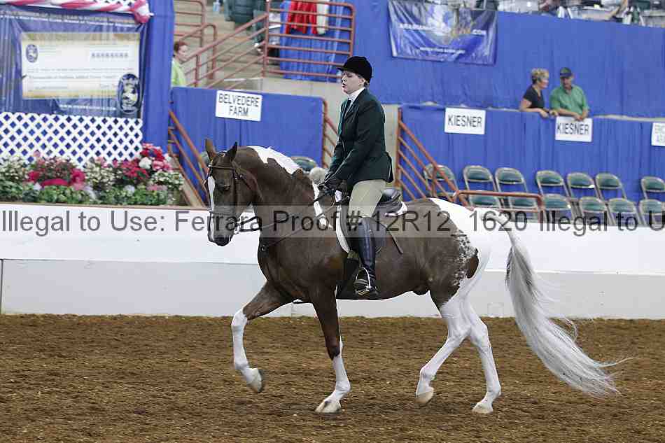 Proof Number 12r12_1620