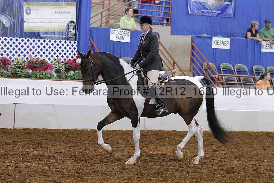 Proof Number 12r12_1630