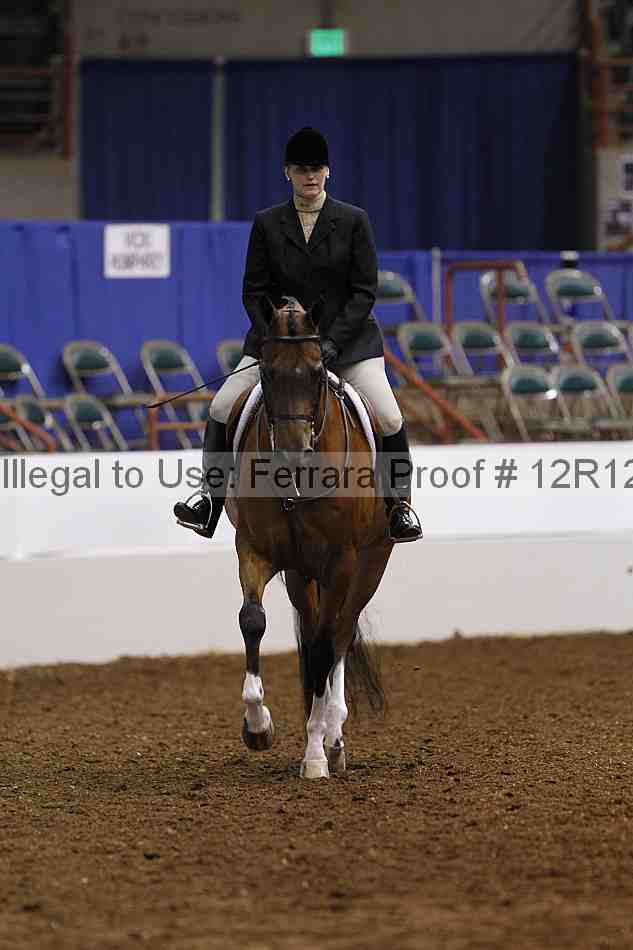 Proof Number 12r12_1631
