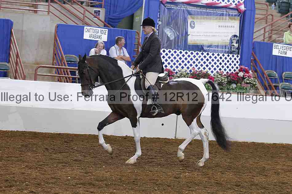 Proof Number 12r12_1642