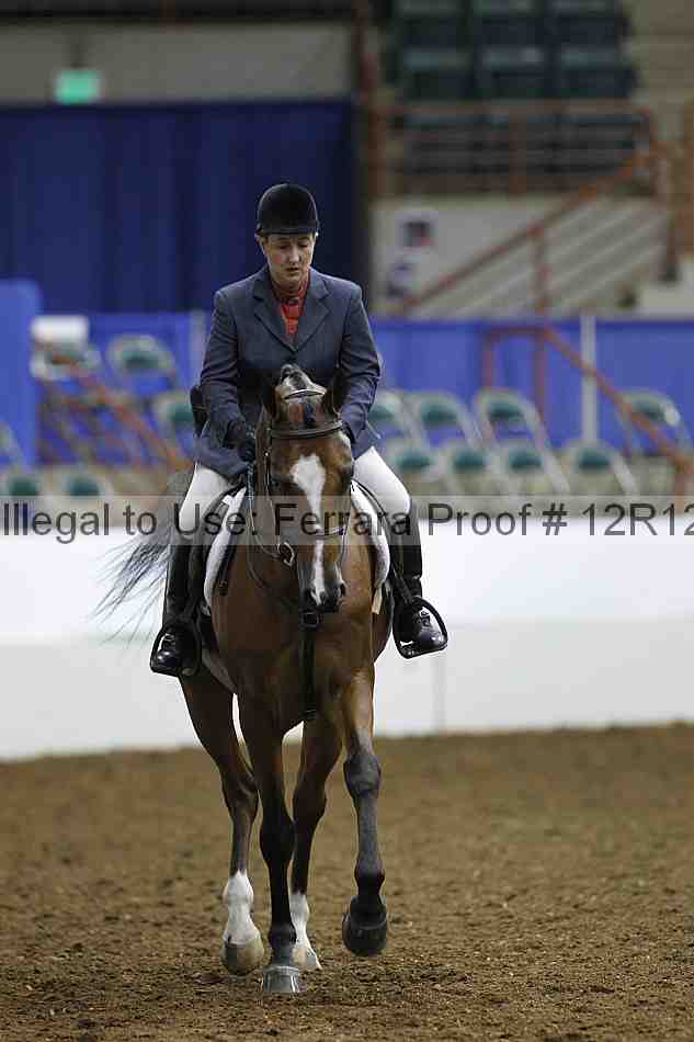 Proof Number 12r12_1651