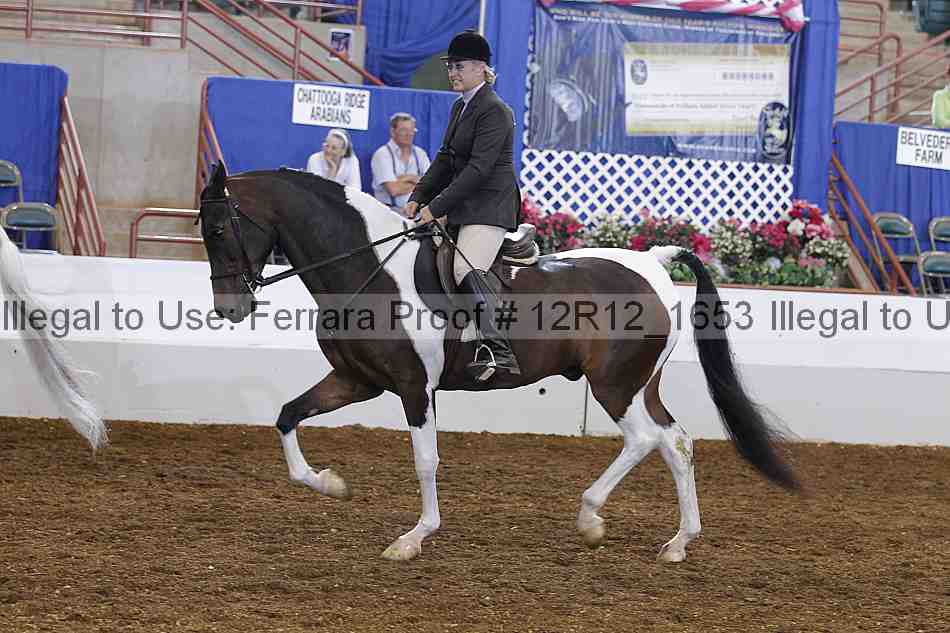 Proof Number 12r12_1653