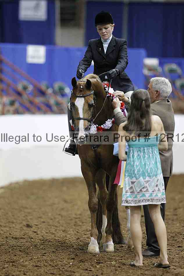 Proof Number 12r12_1654