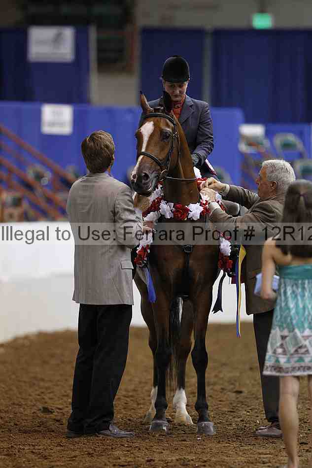Proof Number 12r12_1663