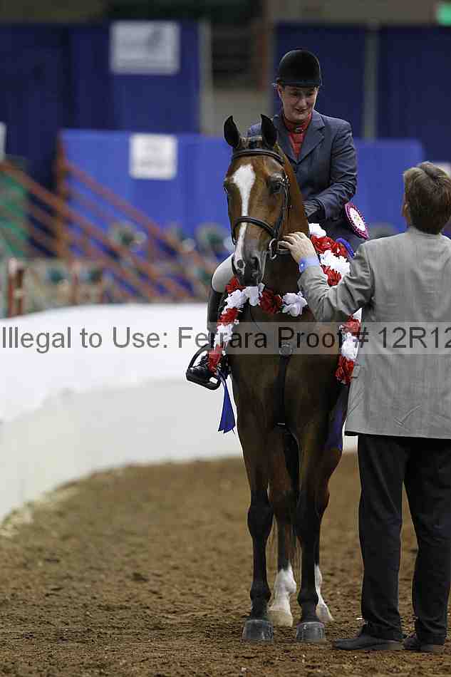 Proof Number 12r12_1666