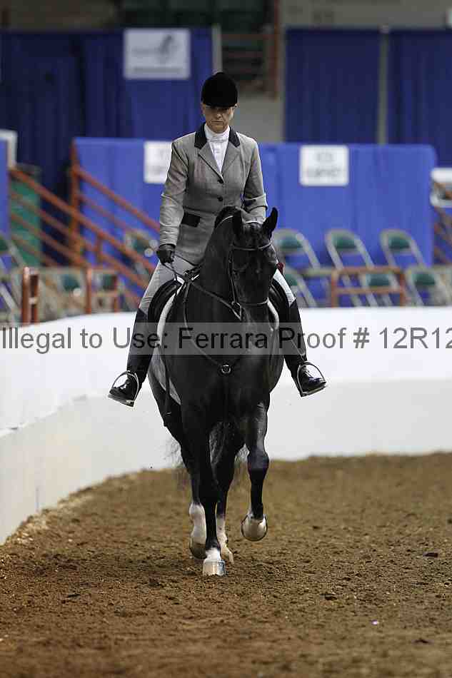 Proof Number 12r12_1668