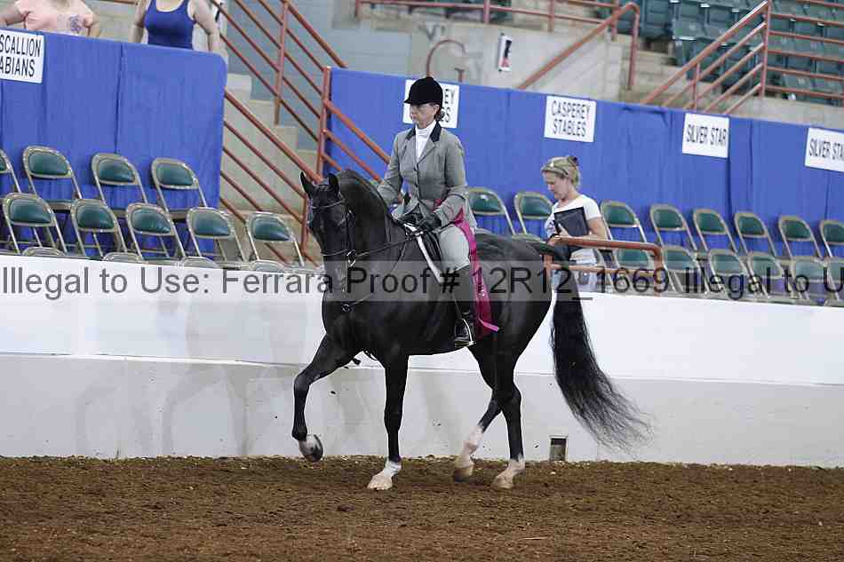 Proof Number 12r12_1669