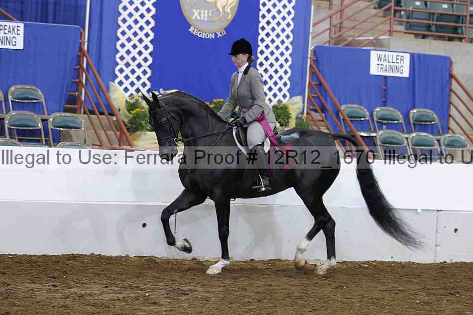 Proof Number 12r12_1670