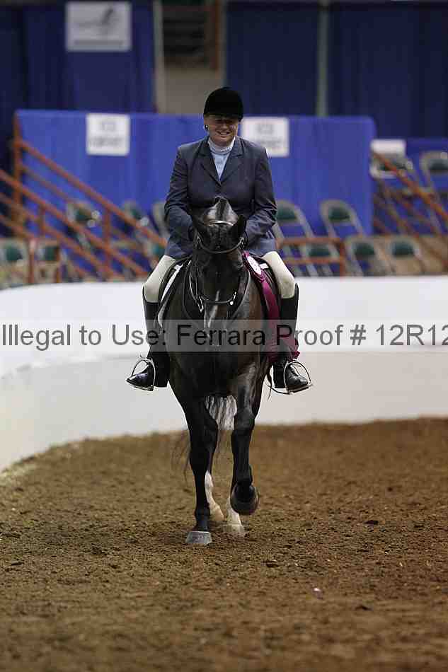 Proof Number 12r12_1672