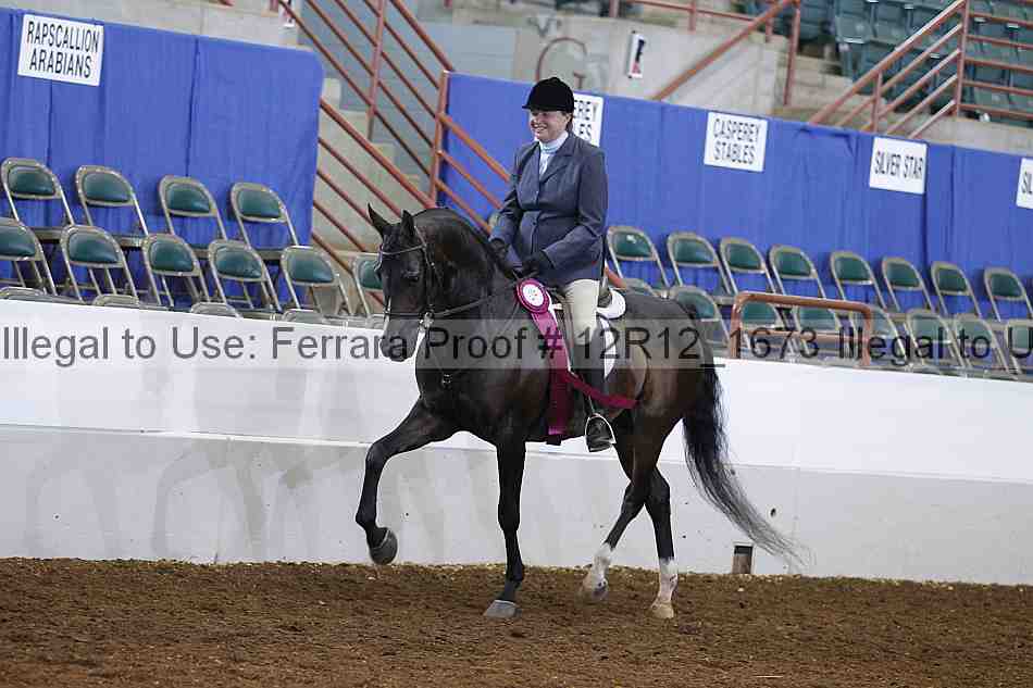 Proof Number 12r12_1673