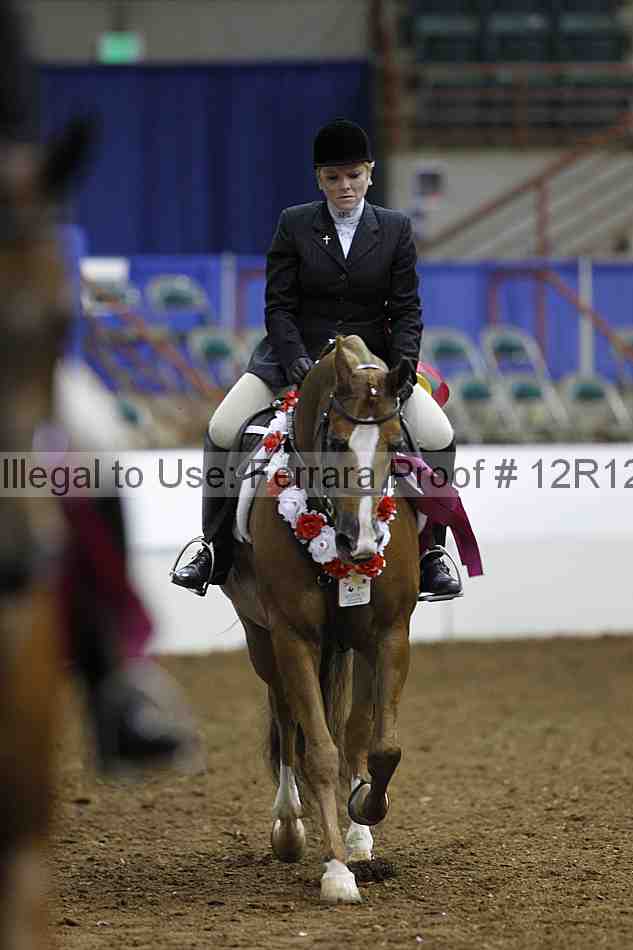Proof Number 12r12_1681