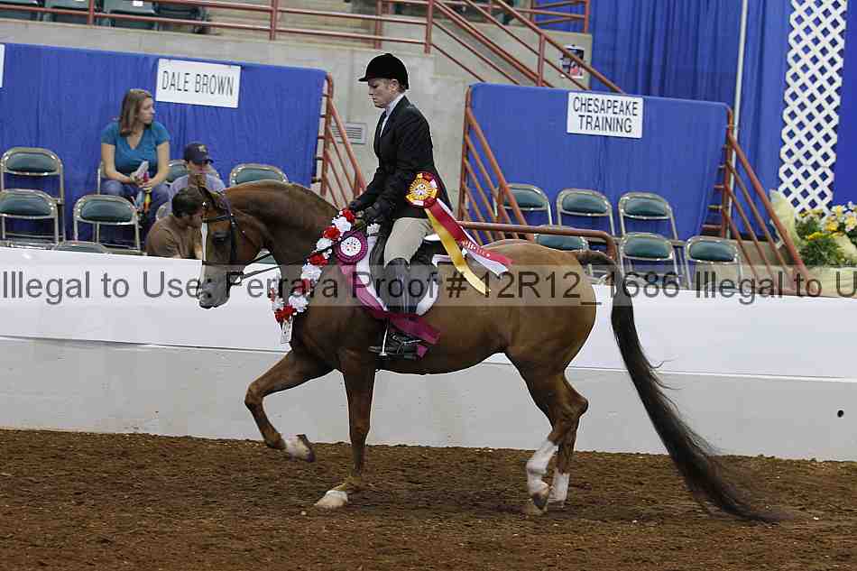 Proof Number 12r12_1686