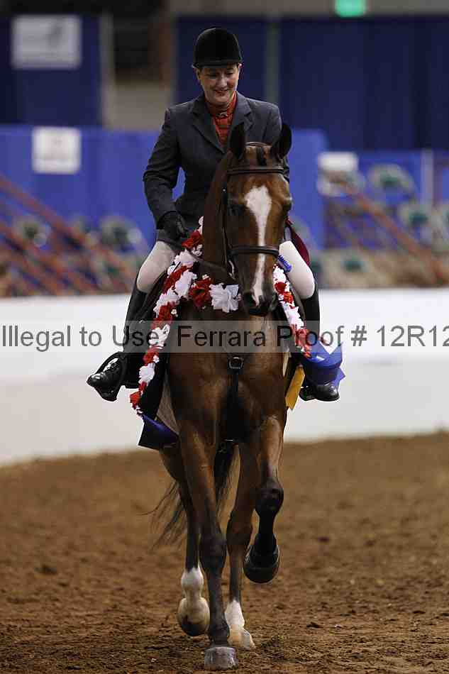 Proof Number 12r12_1689