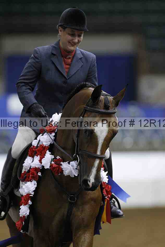 Proof Number 12r12_1693