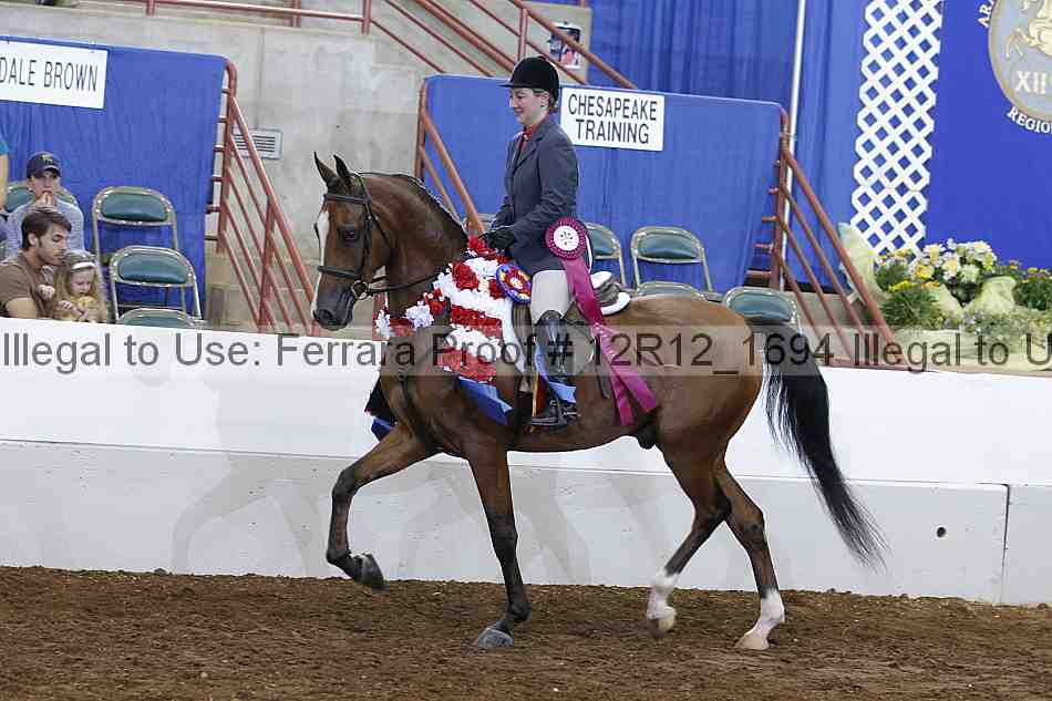 Proof Number 12r12_1694