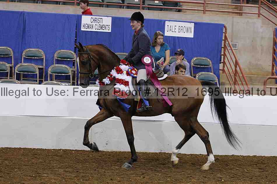 Proof Number 12r12_1695