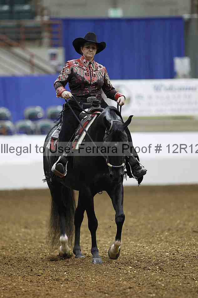 Proof Number 12r12_1738