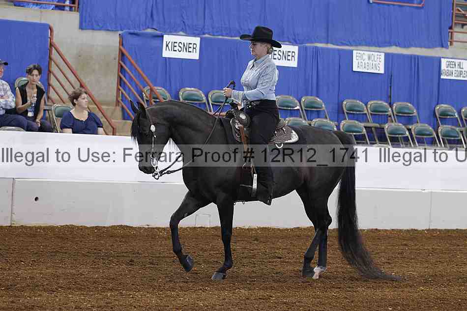 Proof Number 12r12_1741