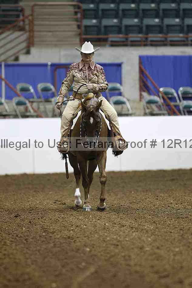 Proof Number 12r12_1742