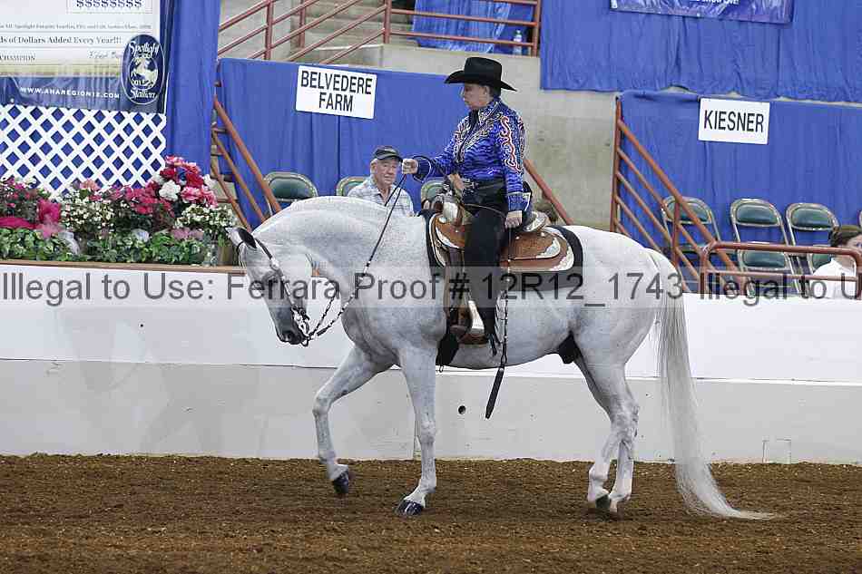 Proof Number 12r12_1743