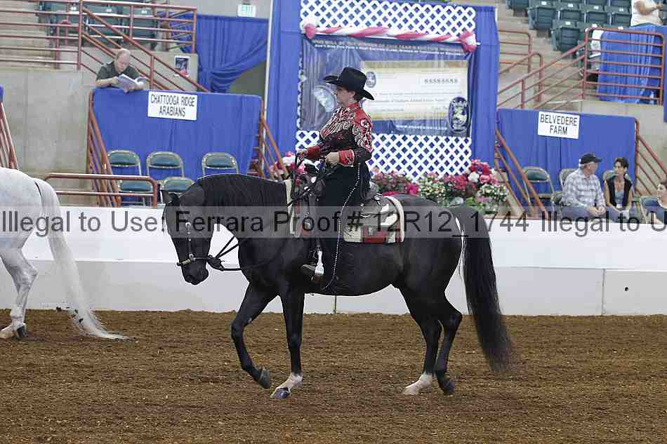 Proof Number 12r12_1744