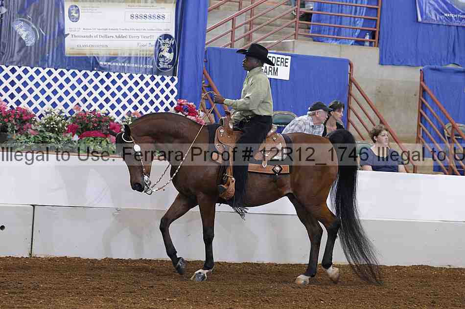Proof Number 12r12_1746