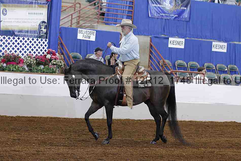 Proof Number 12r12_1748
