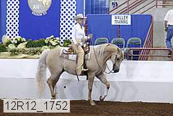 12r12_1752 thumbnail
