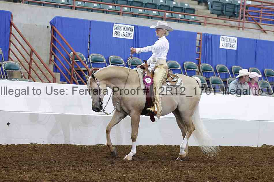 Proof Number 12r12_1761
