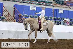 12r12_1761 thumbnail