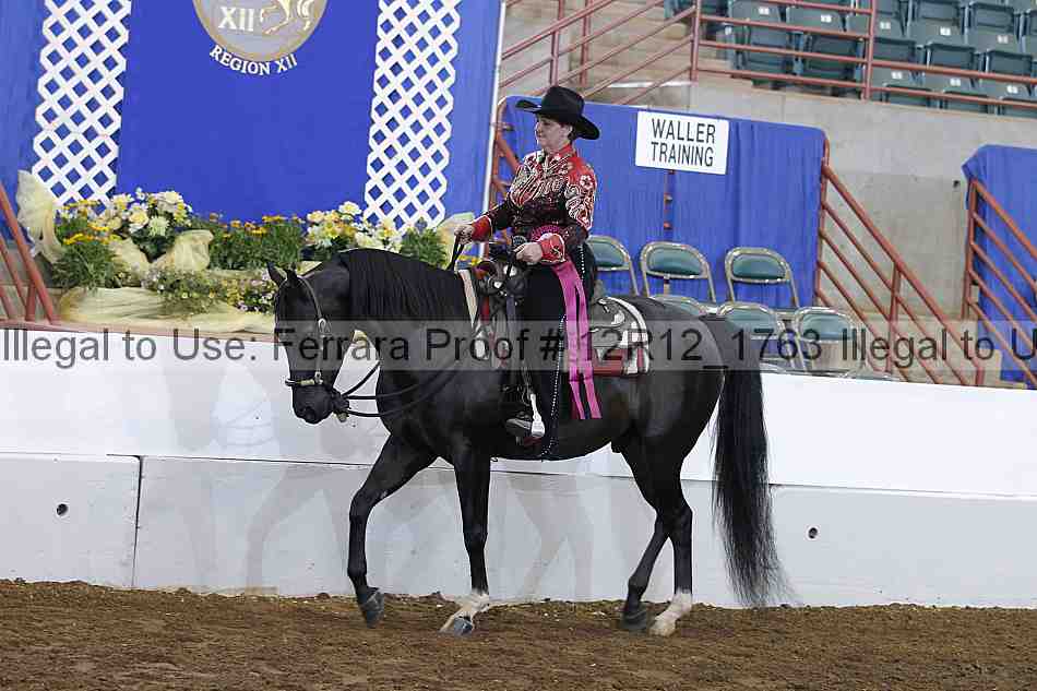 Proof Number 12r12_1763