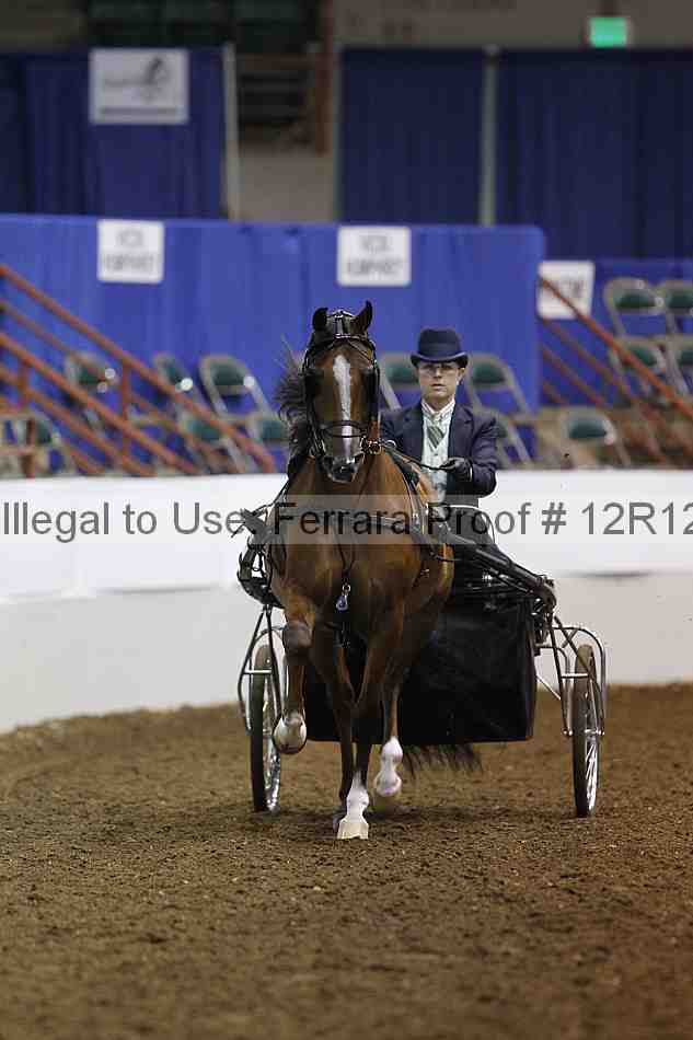 Proof Number 12r12_1784