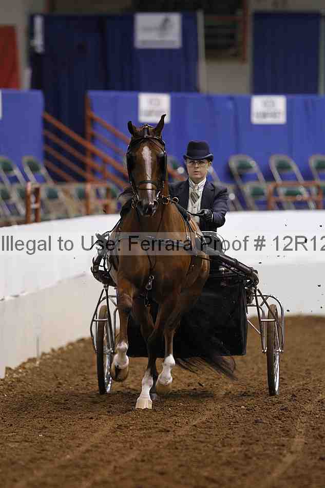 Proof Number 12r12_1791