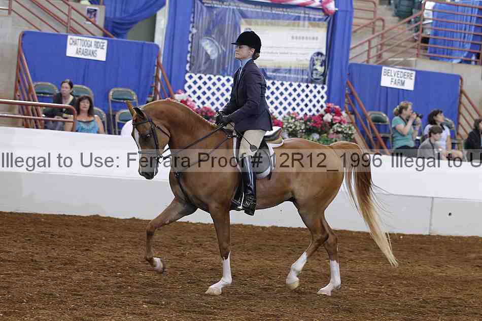Proof Number 12r12_1996