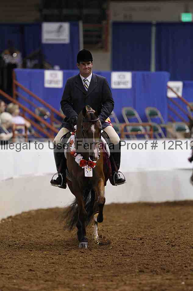 Proof Number 12r12_2024