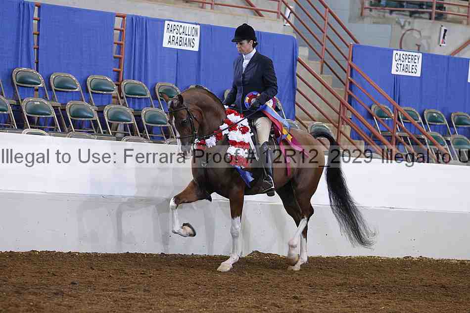 Proof Number 12r12_2029