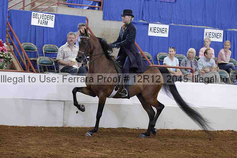 Proof Number 12r12_2045