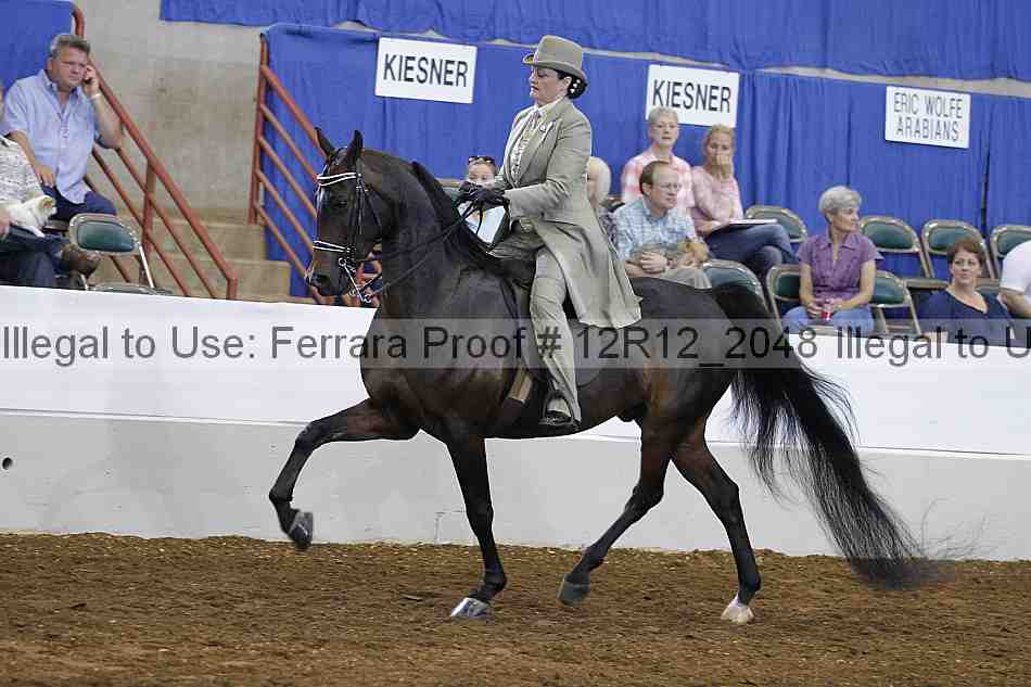 Proof Number 12r12_2048