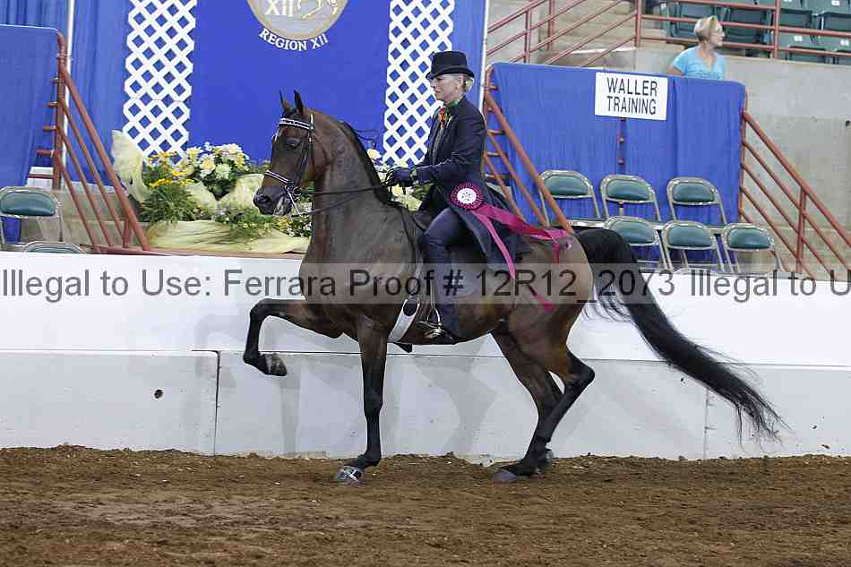 Proof Number 12r12_2073