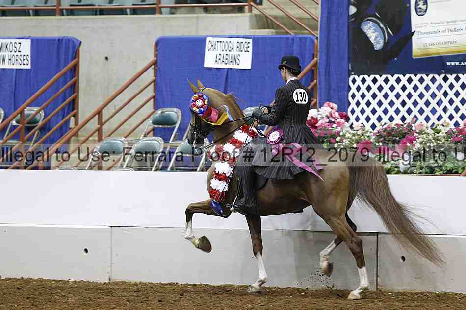 Proof Number 12r12_2079