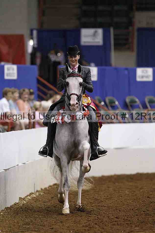 Proof Number 12r12_2080