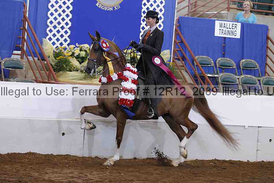Proof Number 12r12_2089