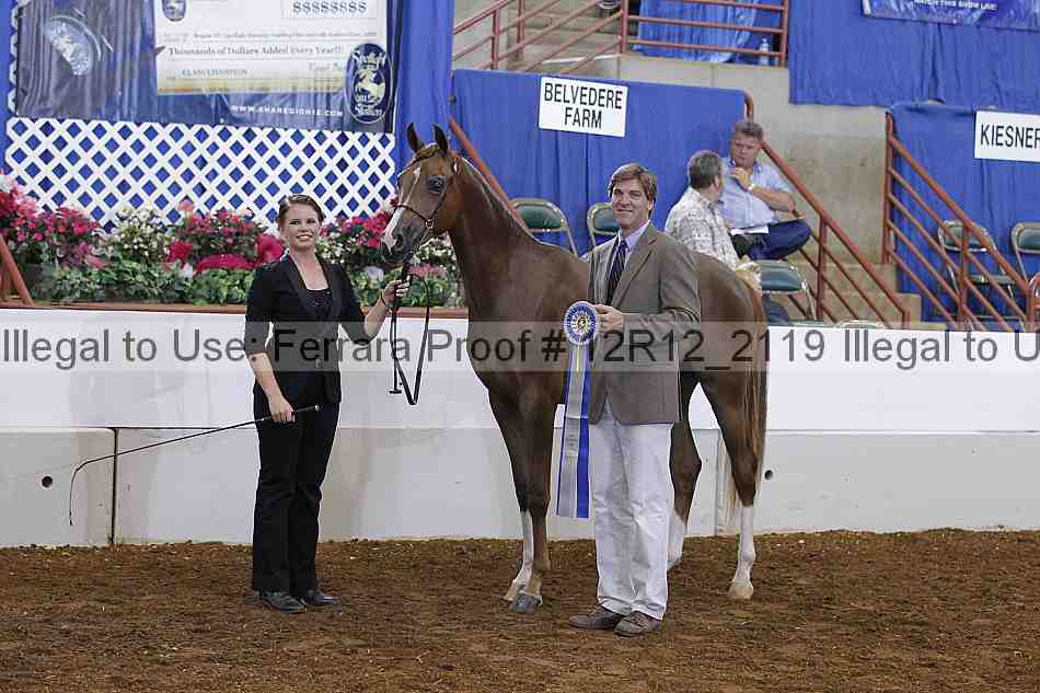Proof Number 12r12_2119