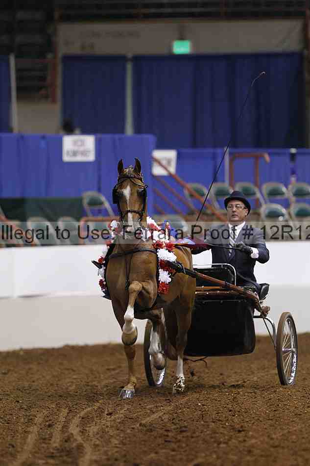 Proof Number 12r12_2160